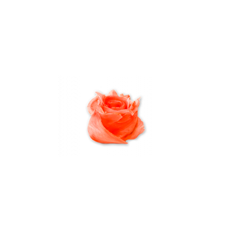 Имбирь — Специи Sushi Express